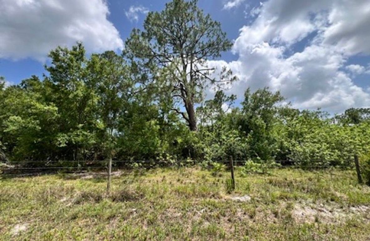 0F3FB6C2-56B8-4C6F-A477-D494141A6AE3_4_5005_c