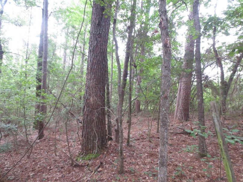 7CD312C3-365E-499F-AB21-8D6F188667E5_1_105_c