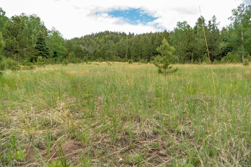 Copy of Los Alamos 508 6-24-16