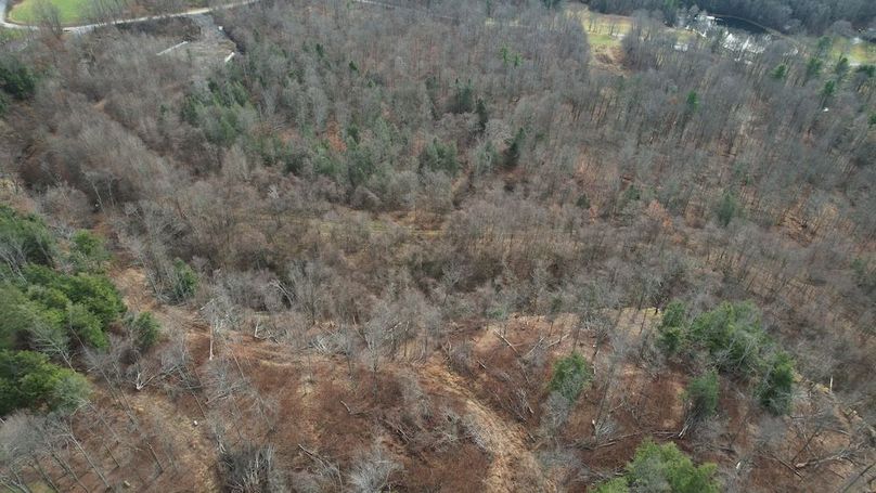 dji_fly_20251124_130808_24_1764007927948_photo