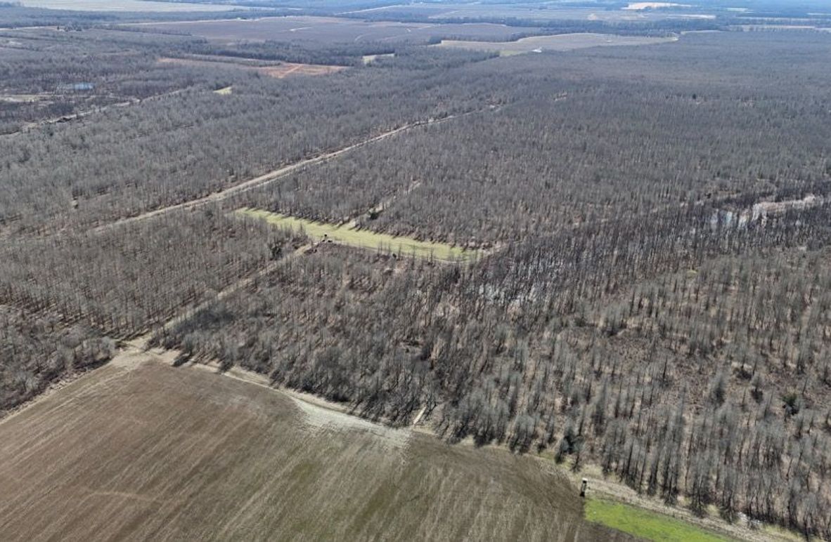 DJI_20260208021422_0972_D