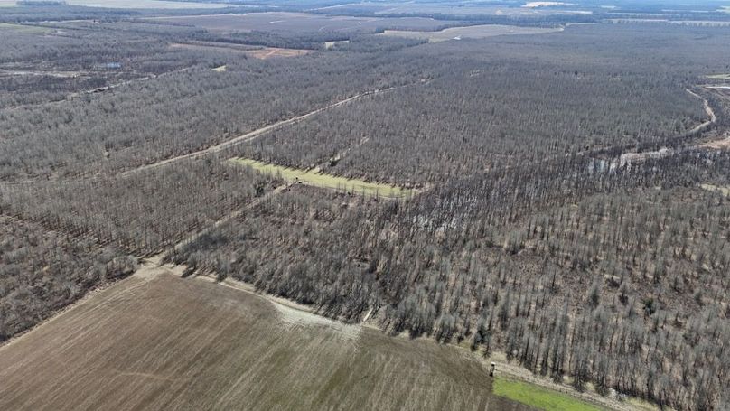 DJI_20260208021422_0972_D