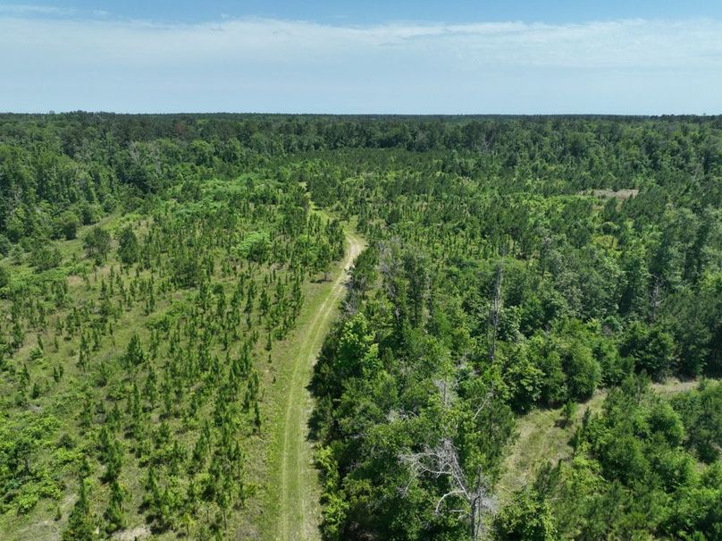 dji_fly_20250522_161242_224_1747959492594_photo