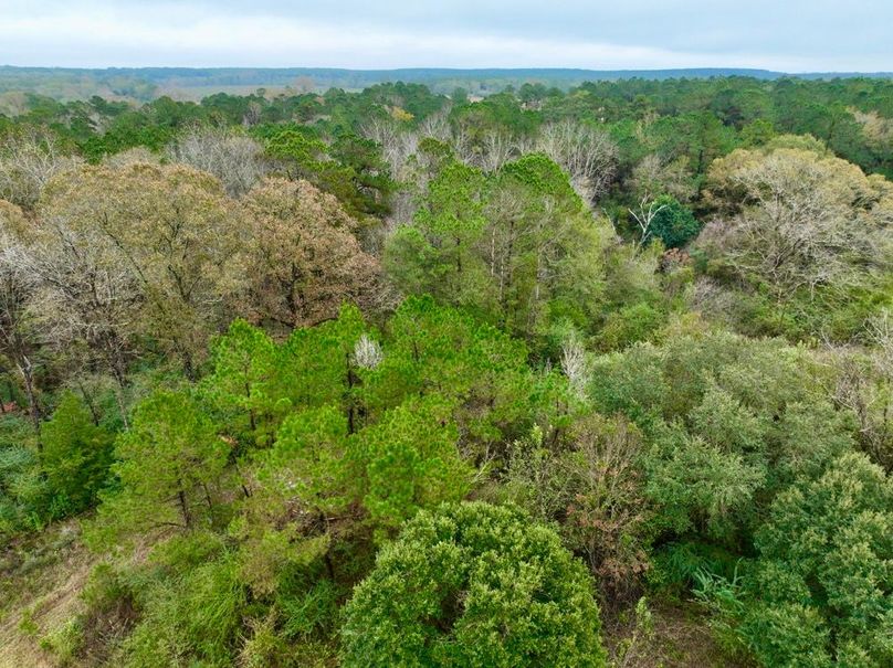 E87F72EC-F9A4-4593-BD05-E423CB7BAB22_1_201_a-2