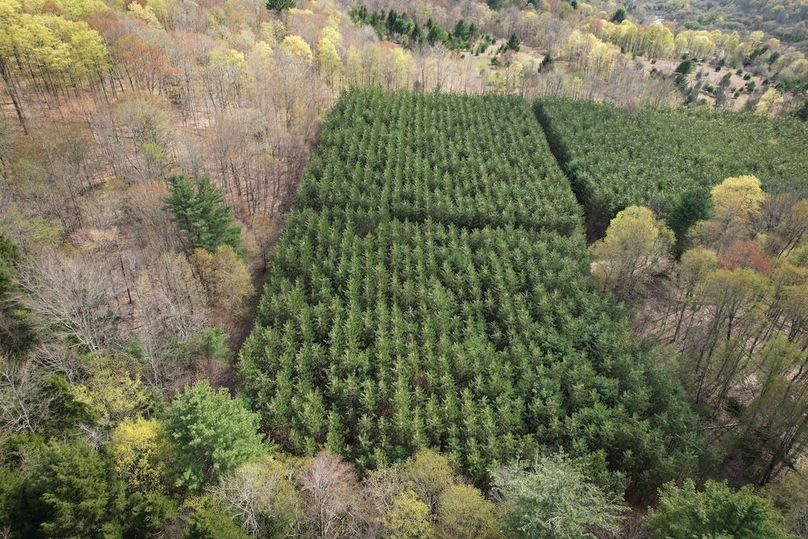 Tioga_76.65_Matyjas_Photos_26