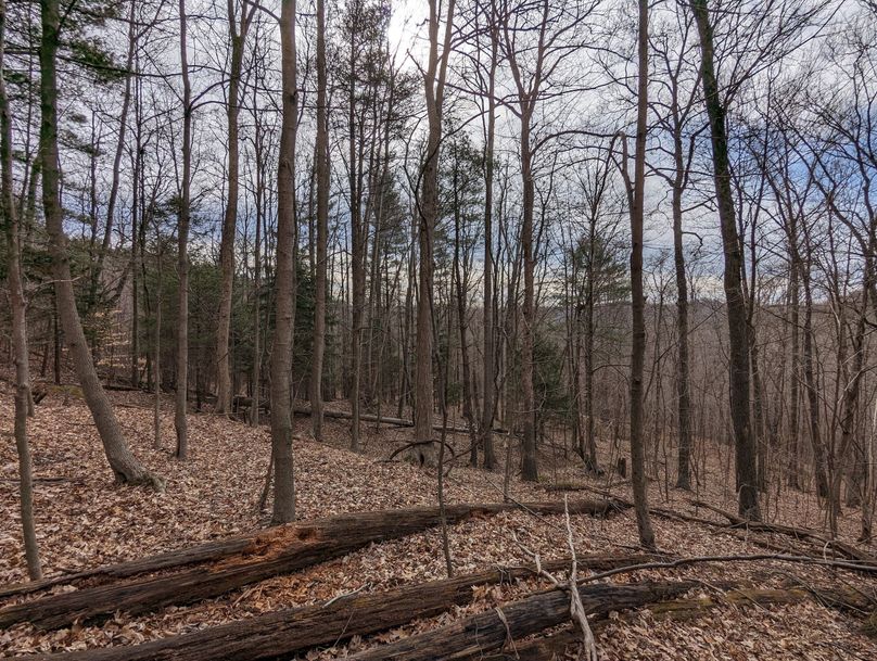 PXL_20230213_162508995