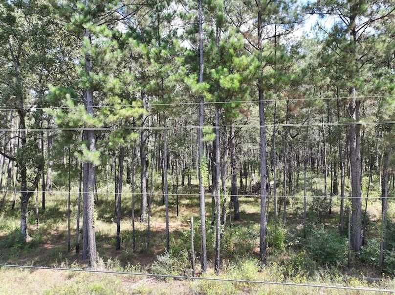 dji_fly_20250929_133904_0582_1759177331043_photo