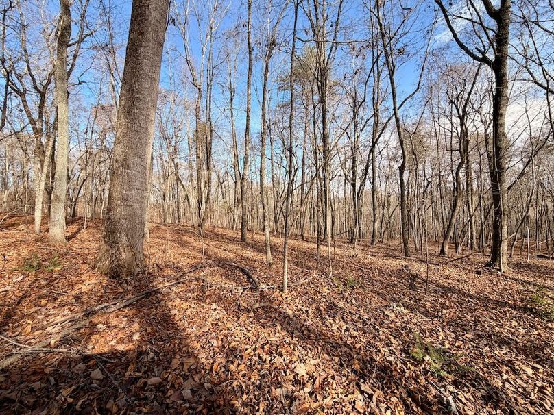 Roane Co TN 396 20251127_77