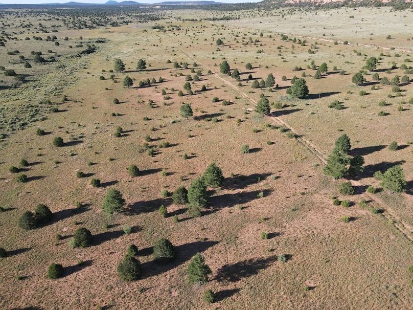 dji_fly_20240816_082126_544_1723818107631_photo