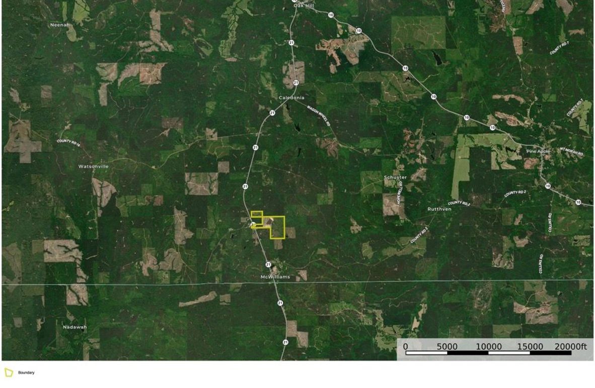 Aerial #3 Approx. 161 Acres Wilcox County, AL 