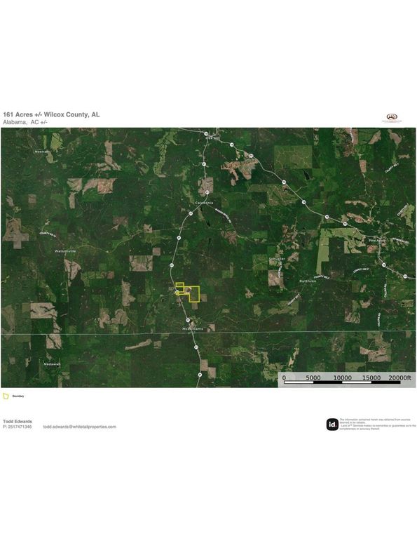 Aerial #3 Approx. 161 Acres Wilcox County, AL 