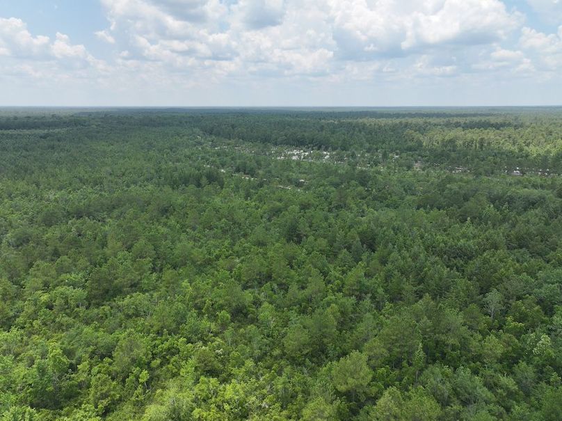 DJI_20250627124403_0170_D