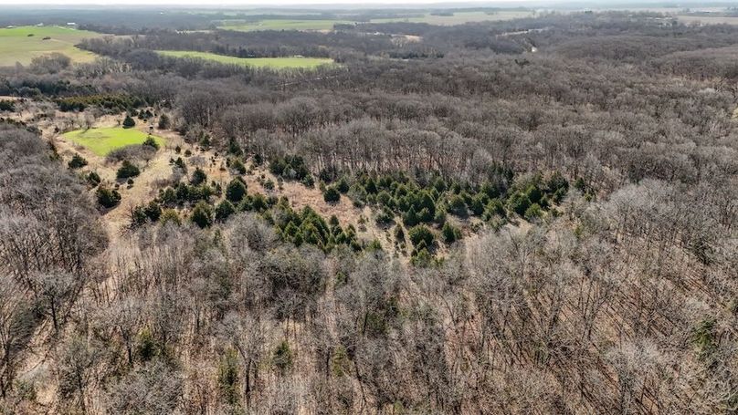 DJI_20250316091002_0046_D