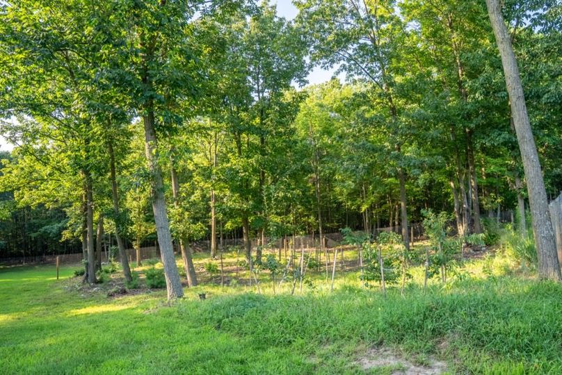 Franklin 59.85_042-2