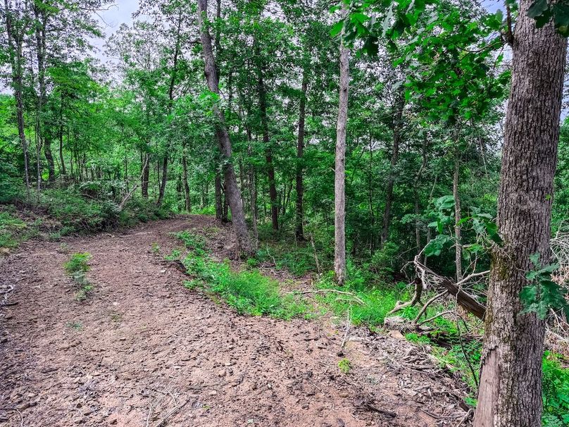 Wirt, WV 137.45 AC Full-47