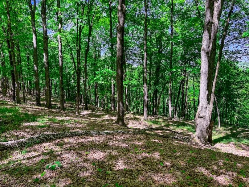 Tyler, WV 161.03 AC Fitzsimmons-086