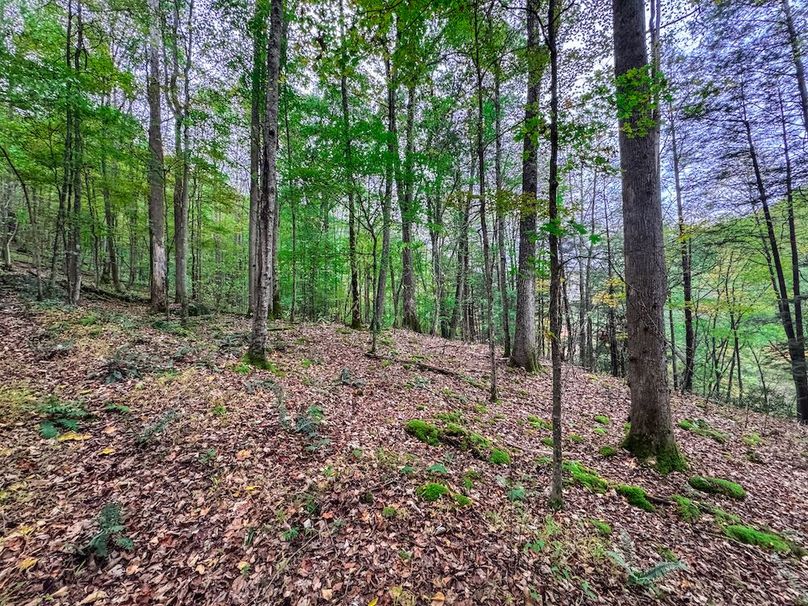 Webster, WV 13.8 AC Heldreth-06