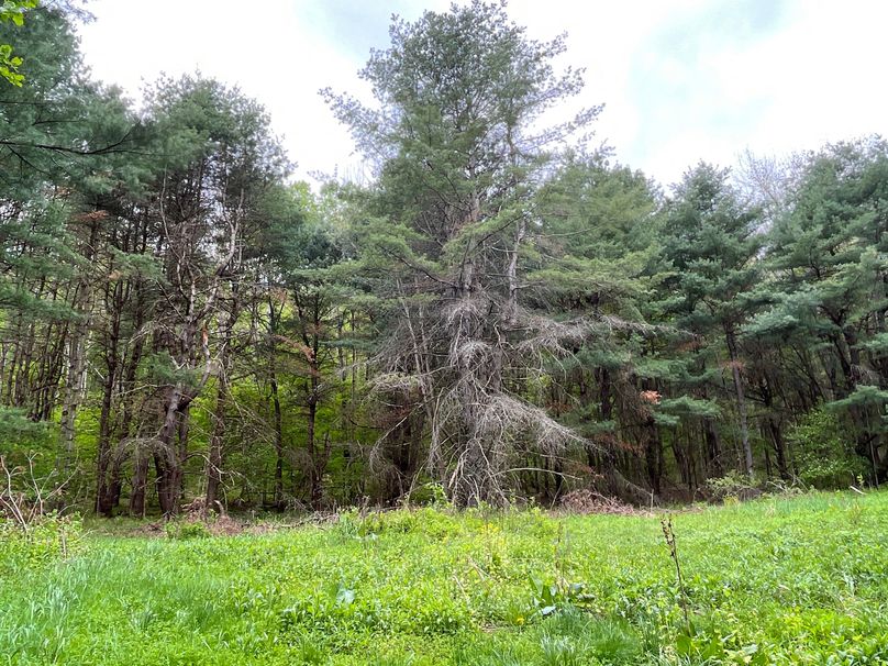 Tioga_18.72_Coulson Photo 27