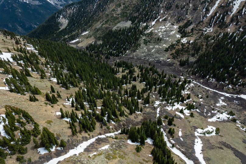 Lake 51.63 - 019 Pines