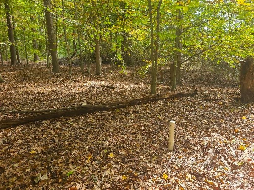 31.40ac_QAnnes_PIC_016