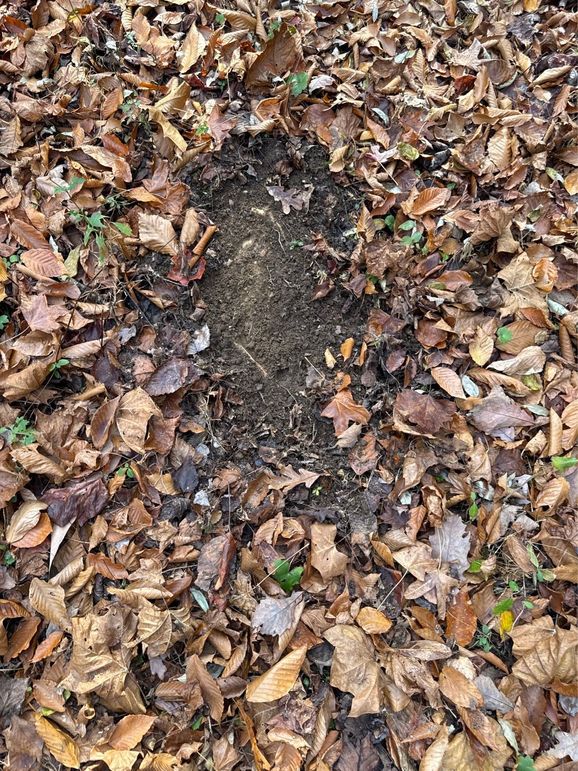 019 Deer Scrape after Deer Scrape after Deer Scrape