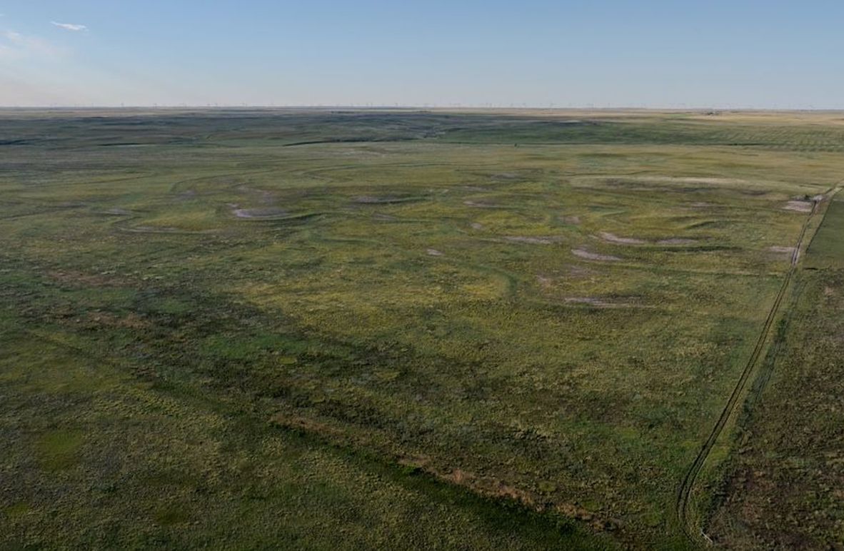 DJI_20250803072042_0015_D-HDR