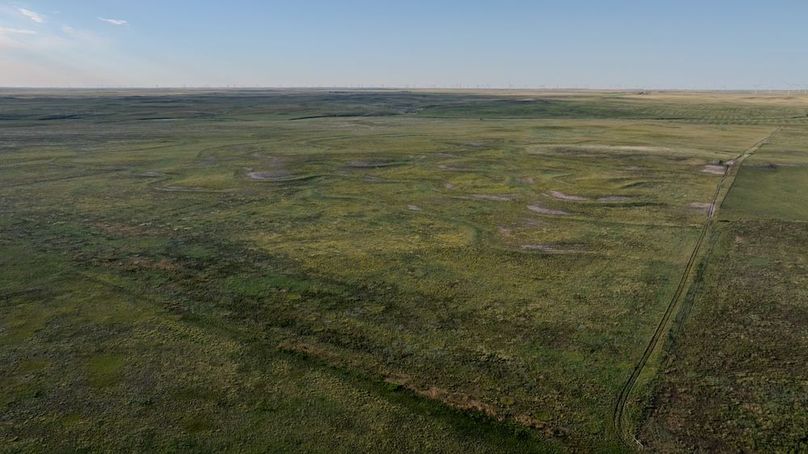 DJI_20250803072042_0015_D-HDR