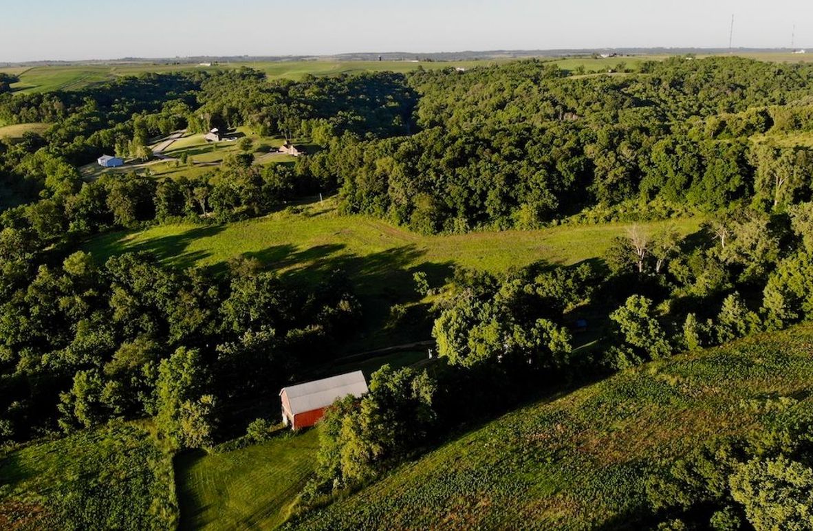 Grant 155.25 - 4 of 57