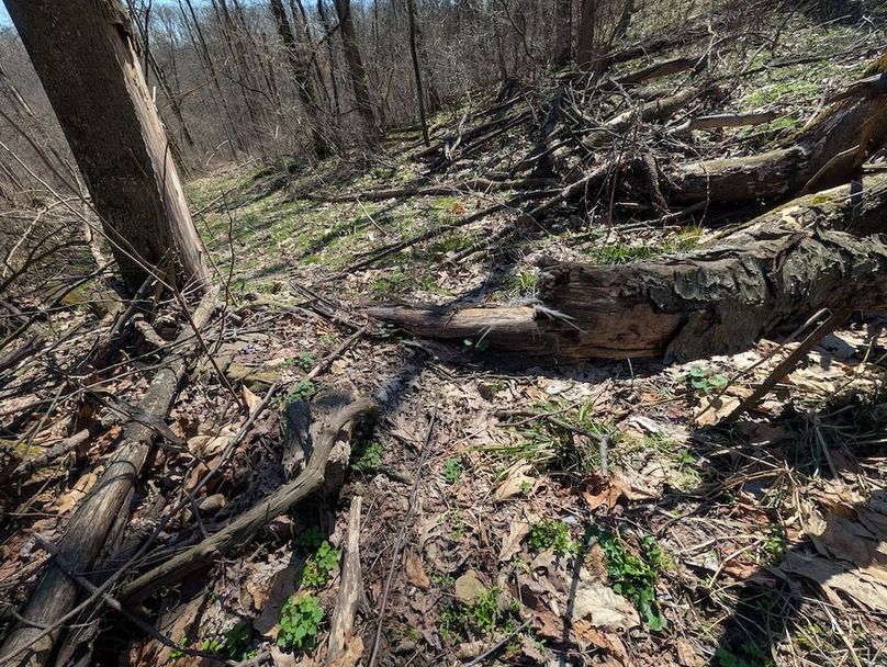 PXL_20260326_170250457