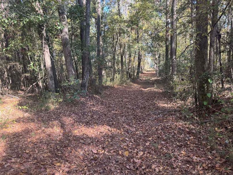 Jeff 11720251111_0224