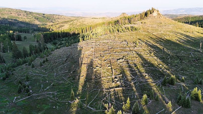 DJI_20250627200545_0056_D