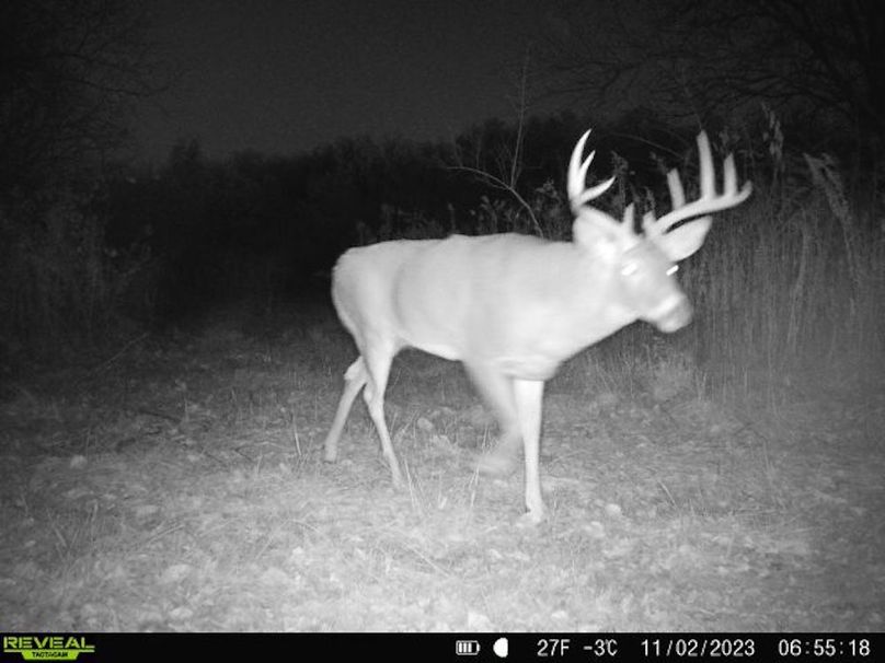 860322065128164-1-2-11022023065518-V-W1004871