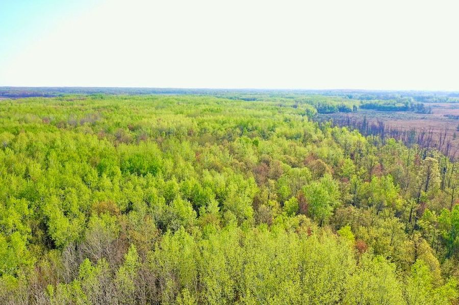 DJI_0723