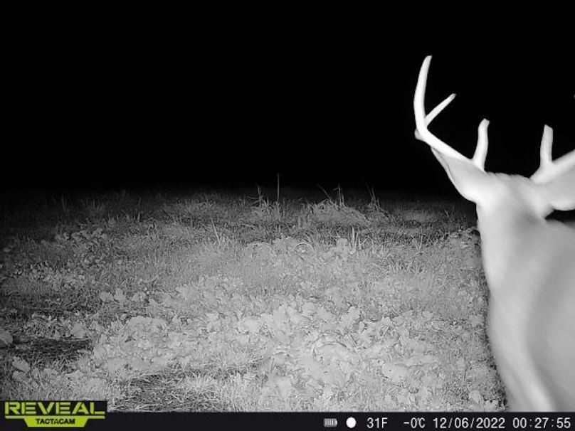 861107034996992-100-5-12062022002754-W1000789