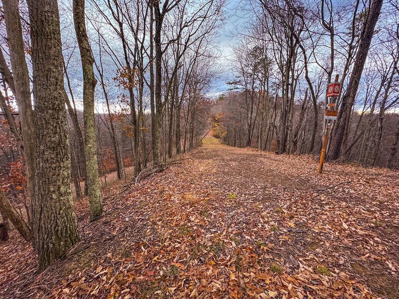 Ritchie, WV 14.081 AC Currey-43