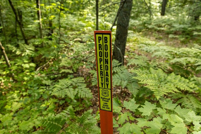 19 Boundary marker for Manistee National Forest
