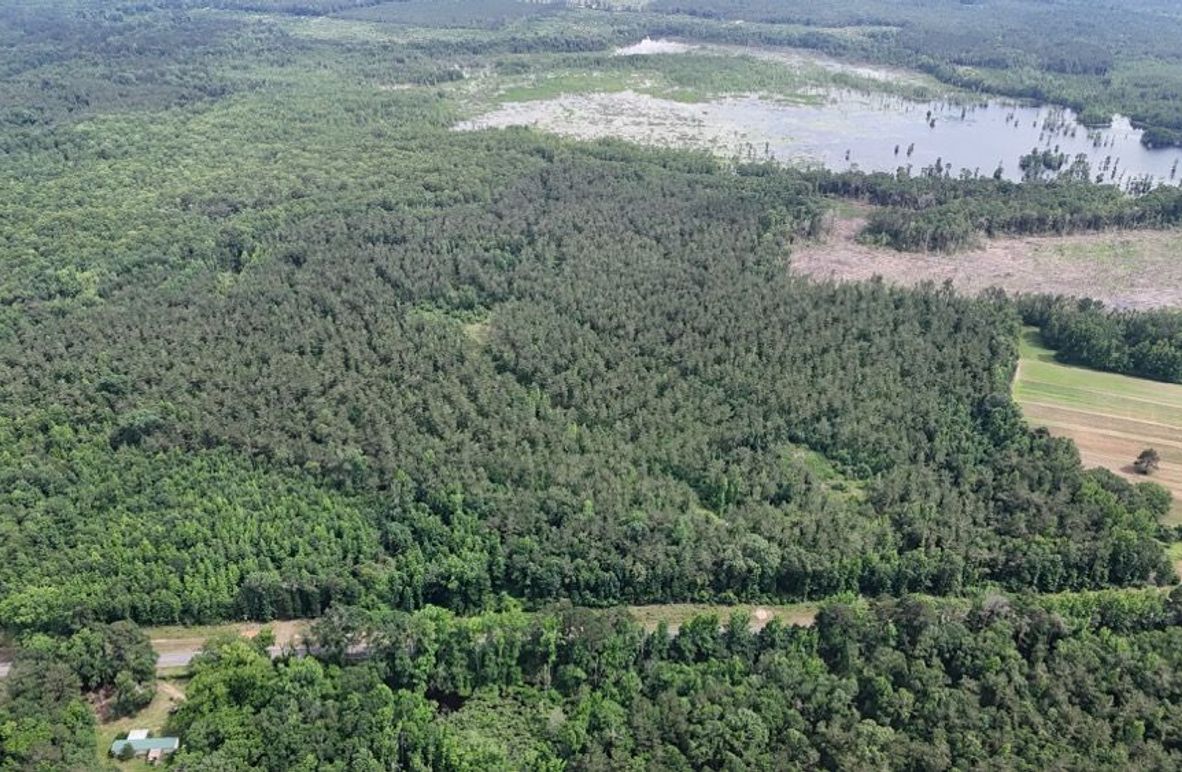 DJI_20260605044309_0061_D