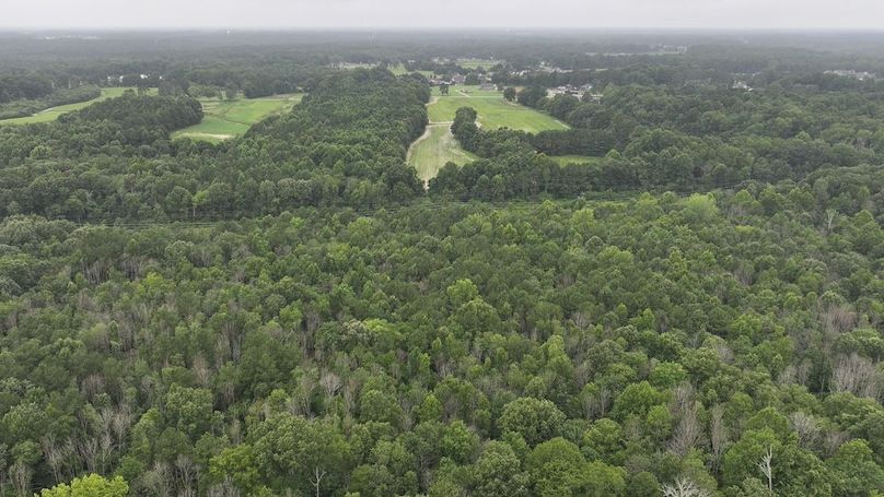 DJI_20250715003348_0171_D