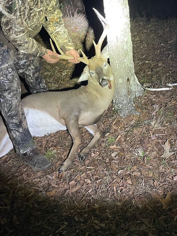 buck