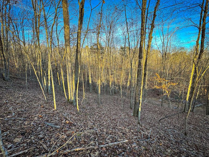 Jackson, WV 118.94 AC Shafer-080