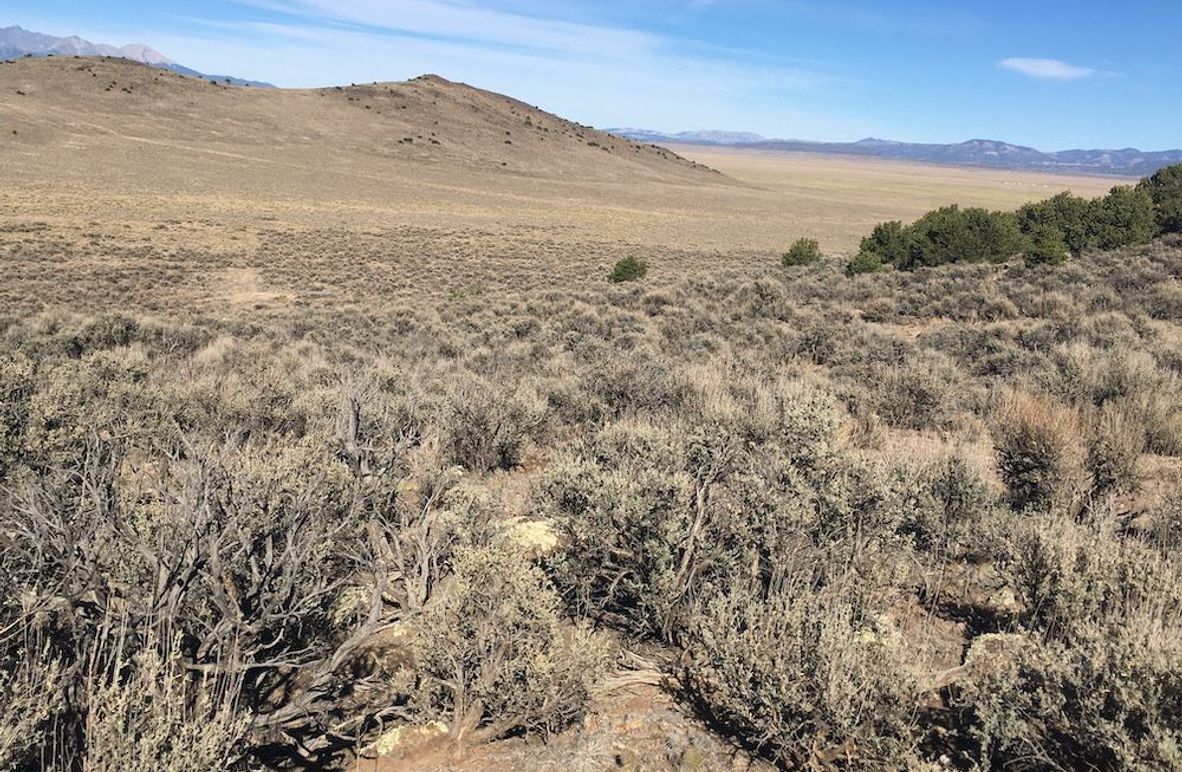 Copy of IMG_2228 (1)