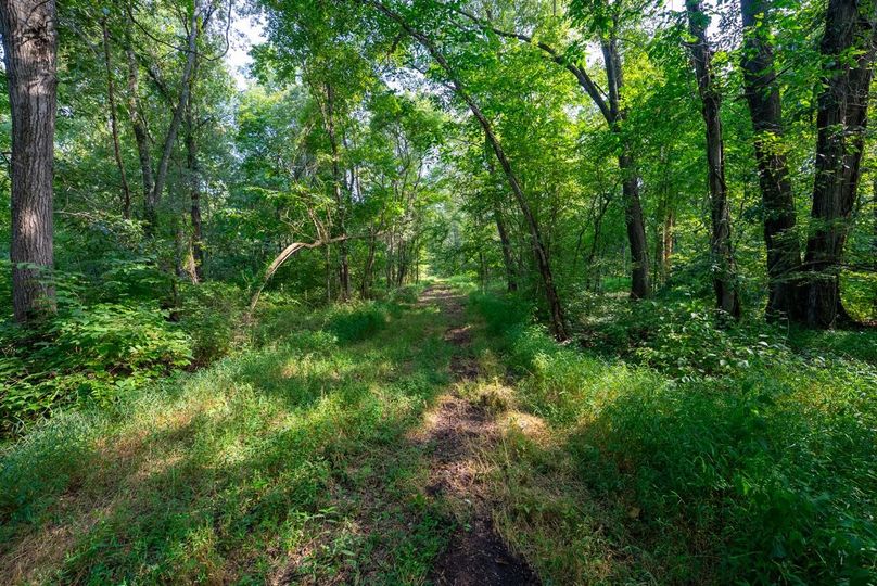 Copy of DSC06201 Large