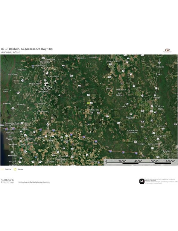 Aerial #4 Approx. 80 Acres Baldwin, AL