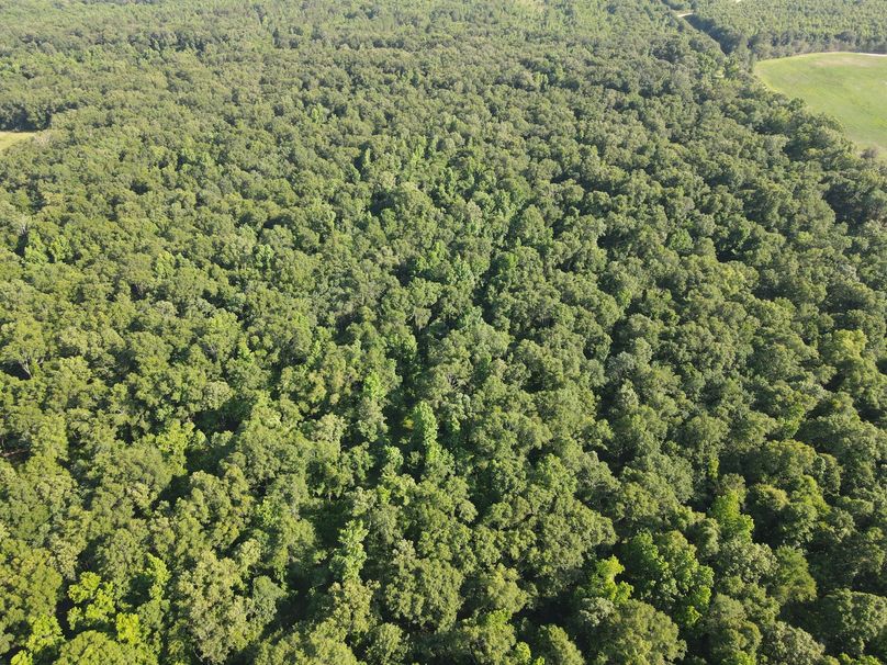 D9143190-887E-432C-87EB-F5FF96F9ACD6_1_102_o