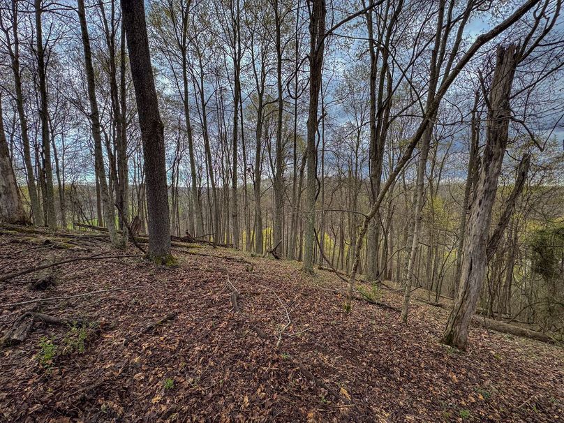 Wirt, WV 39.564 AC Full-22
