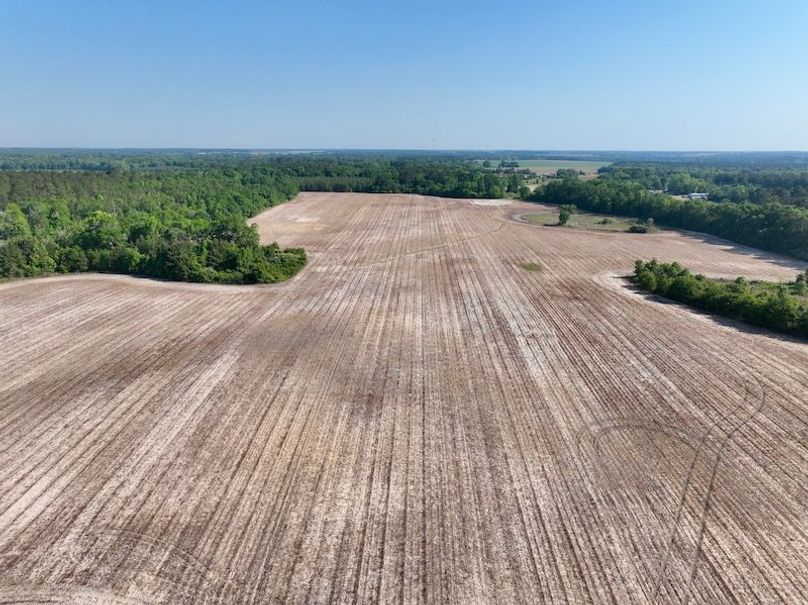 dji_fly_20260424_094450_556_1777039434476_photo