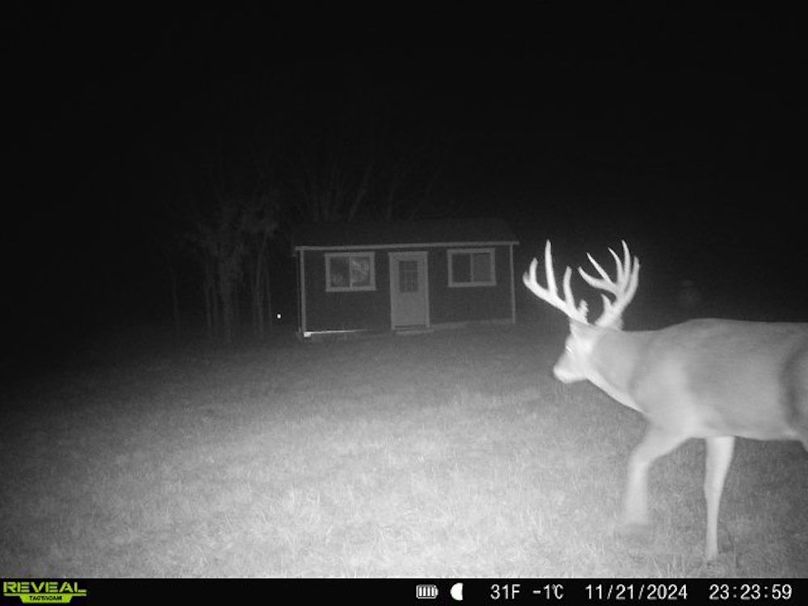 868032068385099-100-4-11212024232358-W1006757