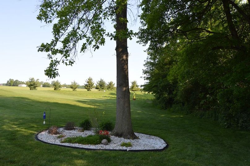 View of west edge of woods