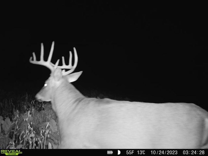 868032068707672-10-3-10242023032428-V-W1001274