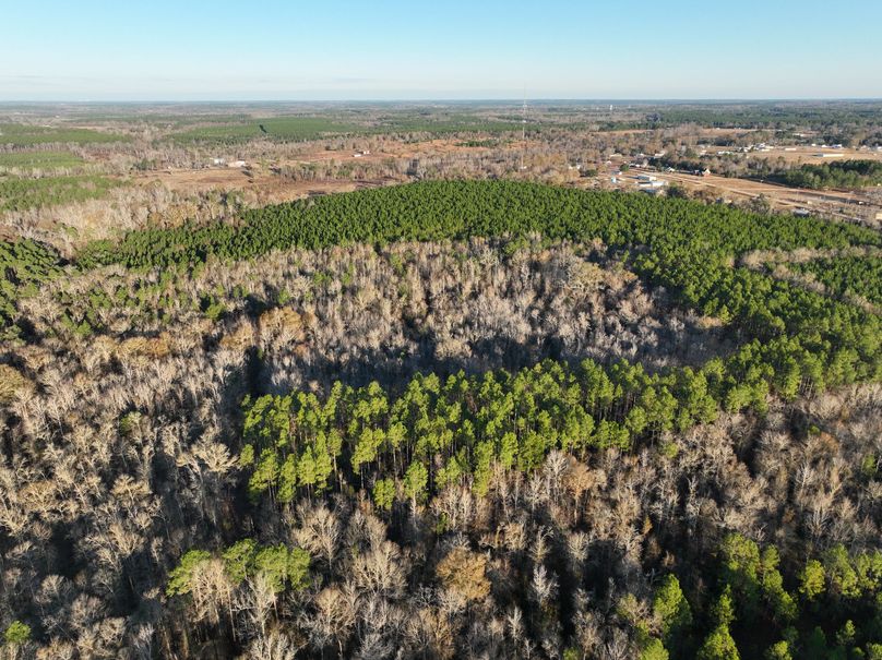 dji_fly_20231229_082732_984_1703856681826_photo
